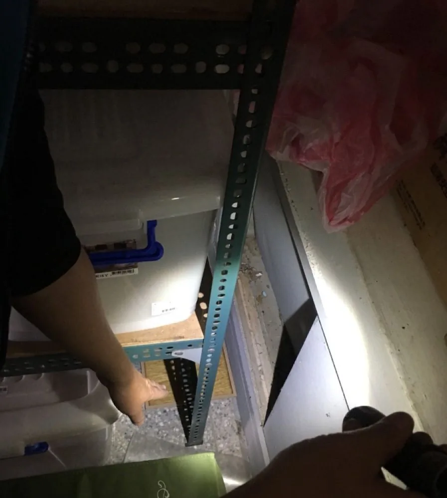 老鼠板安置